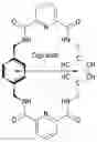 Fig. 02 - Compound, core-shell dye, photosensitive resin composition including the same, and color filter
