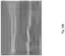 Fig. 197 - SILK PERFORMANCE APPAREL AND PRODUCTS AND METHODS OF PREPARING THE SAME