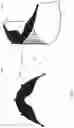 Fig. 10 - SYSTEM FOR SUPPLYING TAILOR MADE SAFETY FACEMASKS AND METHOD THEREOF