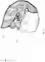 Fig. 16 - SYSTEM FOR SUPPLYING TAILOR MADE SAFETY FACEMASKS AND METHOD THEREOF