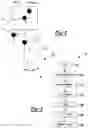 Fig. 03 - Optical axis calibration of robotic camera system