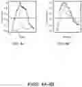 Fig. 05 - IMAGE PROCESSING FOR STANDARDIZING SIZE AND SHAPE OF ORGANISMS