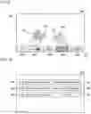 Fig. 07 - TRAINING DEVICE AND TRAINING SYSTEM