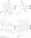 Fig. 09 - Caulk reshaping tool