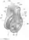 Fig. 02 - Pulley