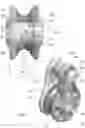 Fig. 04 - Pulley