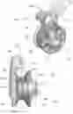 Fig. 05 - Pulley