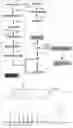 Fig. 02 - RECOMBINANT YEAST AND USE THEREOF
