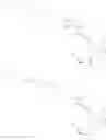 Fig. 13 - BIOLUMINESCENT DETECTION OF DNA SYNTHESIS