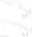 Fig. 17 - BIOLUMINESCENT DETECTION OF DNA SYNTHESIS