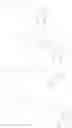 Fig. 44 - BIOLUMINESCENT DETECTION OF DNA SYNTHESIS