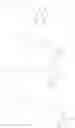 Fig. 48 - BIOLUMINESCENT DETECTION OF DNA SYNTHESIS
