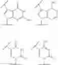 Fig. 77 - BIOLUMINESCENT DETECTION OF DNA SYNTHESIS