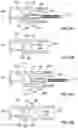 Fig. 11 - ROLLING SHUTTER MODULAR UTILITY SLAT