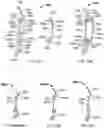 Fig. 16 - ROLLING SHUTTER MODULAR UTILITY SLAT