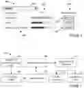 Fig. 06 - DIGITAL PLATFORM FOR COMMUNITY-BASED PRIVACY-PRESERVING DATA SCIENCE