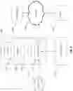 Fig. 08 - SYSTEMS AND METHODS OF VOLUMETRICALLY ASSESSING STRUCTURES OF SKELETAL CAVITIES