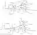 Fig. 06 - Urodynamic device and procedure