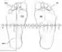 Fig. 01 - Thermal Imaging