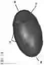 Fig. 15 - ERGONOMIC HELD WEIGHT UNITS, RELATED COMPUTING DEVICE APPLICATIONS AND METHOD OF USE