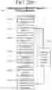 Fig. 31 - ERGONOMIC HELD WEIGHT UNITS, RELATED COMPUTING DEVICE APPLICATIONS AND METHOD OF USE