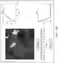 Fig. 18 - Breast calcification imaging phantoms and methods of use