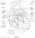 Fig. 05 - Device and method for diagnosis of cardiac tamponade