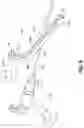 Fig. 08 - DEVICES, SYSTEMS, AND METHODS FOR TRANS-VAGINAL, ULTRASOUND-GUIDED HYSTEROSCOPIC SURGICAL PROCEDURES