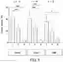 Fig. 06 - SYSTEMS AND METHODS FOR HARMONIC MOTION ELASTOGRAPHY