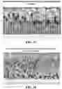 Fig. 13 - BIOLOGICAL SAMPLE COLLECTION PAD