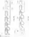 Fig. 52 - Variable denier yarn and suture