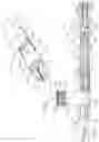 Fig. 02 - CLIP APPLIER COMPRISING INTERCHANGEABLE CLIP RELOADS