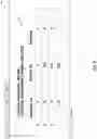 Fig. 09 - Spinal Rod Preparation Systems and Methods
