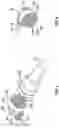 Fig. 06 - ENERGY-DELIVERY DEVICES