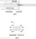 Fig. 05 - DEVICES, SYSTEMS, AND METHODS FOR LOCALIZING MEDICAL DEVICES WITHIN A BODY LUMEN