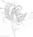 Fig. 01 - Anti-perforation device