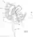 Fig. 02 - Anti-perforation device