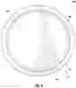 Fig. 05 - Notched Rim Structure for Medical Tools