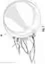 Fig. 08 - Notched Rim Structure for Medical Tools