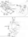 Fig. 16 - ROBOTIC SURGICAL NAVIGATION USING A PROPRIOCEPTIVE DIGITAL SURGICAL STEREOSCOPIC CAMERA SYSTEM