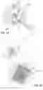 Fig. 10 - Specimen Marking Clip