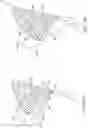 Fig. 06 - Variable direction tooth attachments