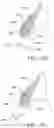 Fig. 09 - Orthodontic assembly