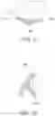 Fig. 19 - Orthodontic assembly