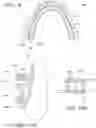 Fig. 27 - Orthodontic assembly
