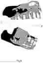 Fig. 05 - A TUBE AND A METHOD FOR PREPARATION OF A BITE REGISTRATION