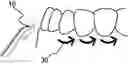 Fig. 01 - ORAL IRRIGATOR