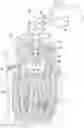 Fig. 01 - INTEGRATED ENDODONTIC IRRIGATION AND ASPIRATION SYSTEM