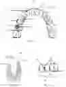 Fig. 02 - Systems and methods for personalized oral irrigation