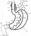 Fig. 01 - Artificial stomach